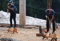 grouse mountain with werner